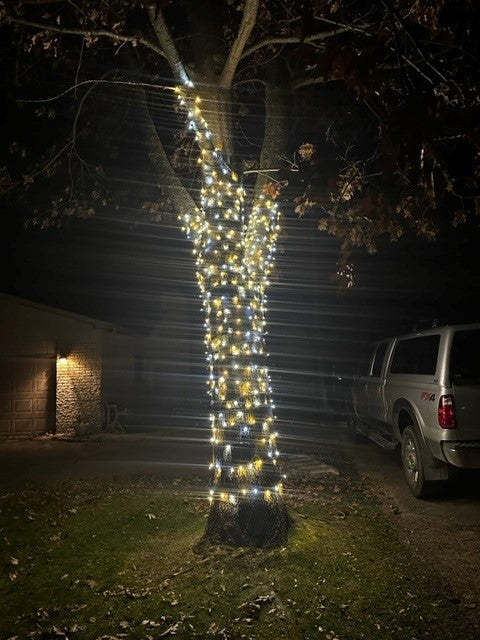 Holiday Lights - 5mm 50L - Champagne (Balled)