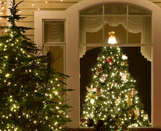 The mission of The Merry Project